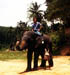 Whitman in SriLanka